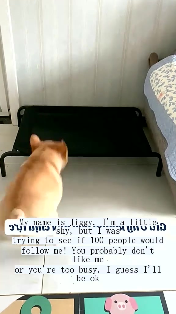 @vukk1004