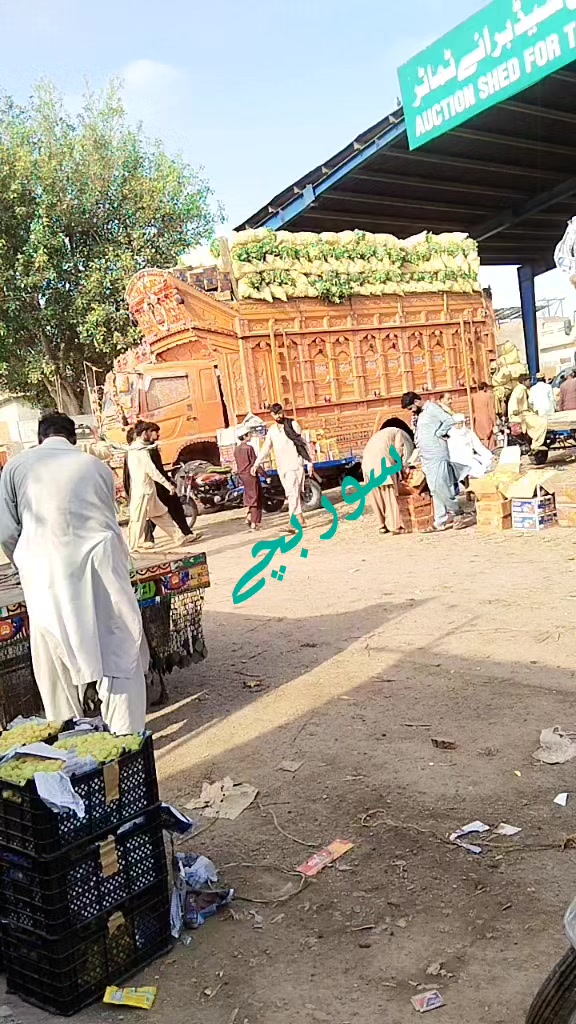 @Gull Qadeer