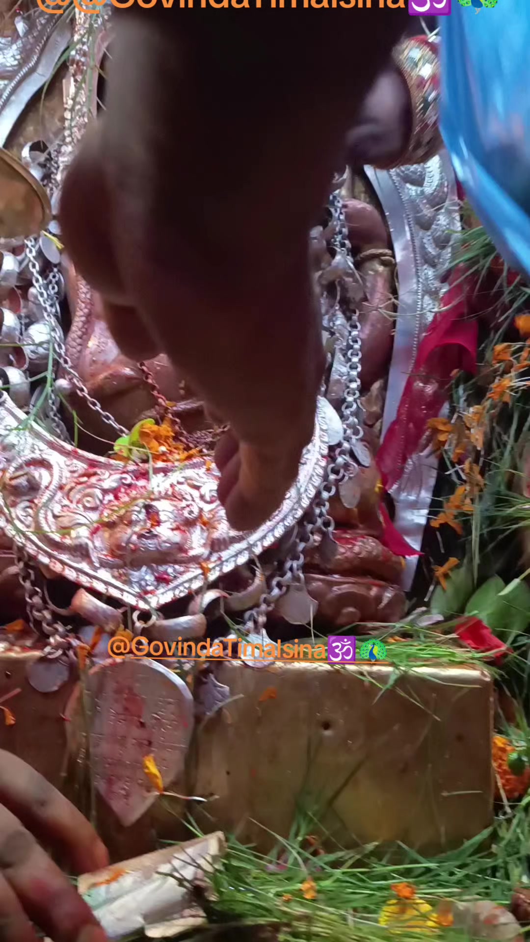 @Govinda Timalsina🕉🦚