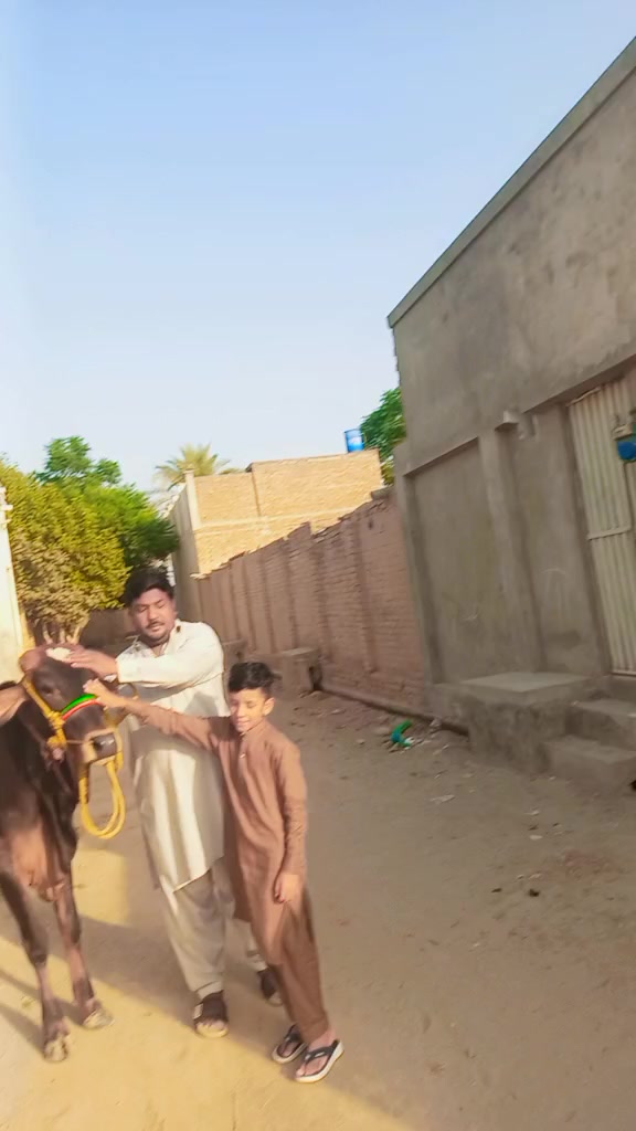 @shakeelbaloch