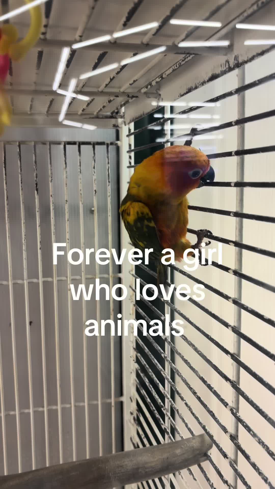 @𝓟𝓻𝓲𝓼𝓬𝓲𝓵𝓵𝓪 🫧
