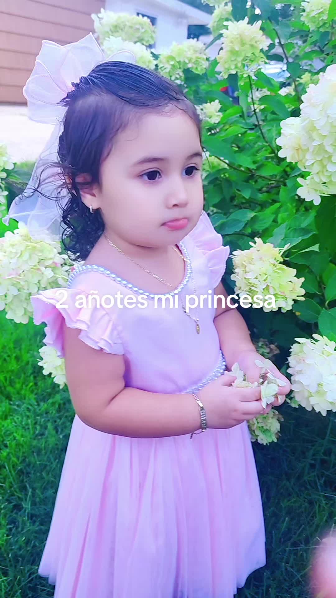 @anita valle