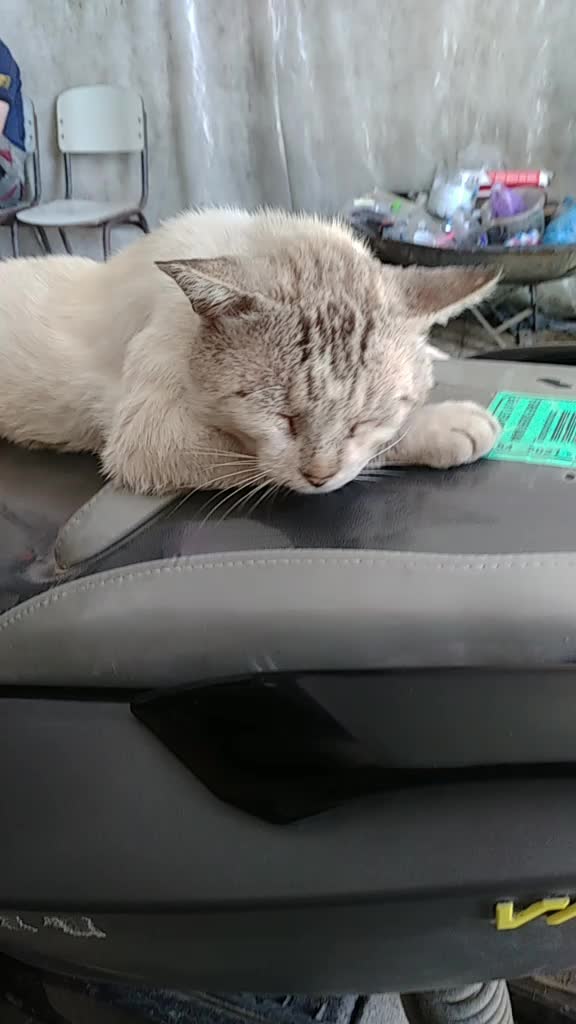@أبوأسد