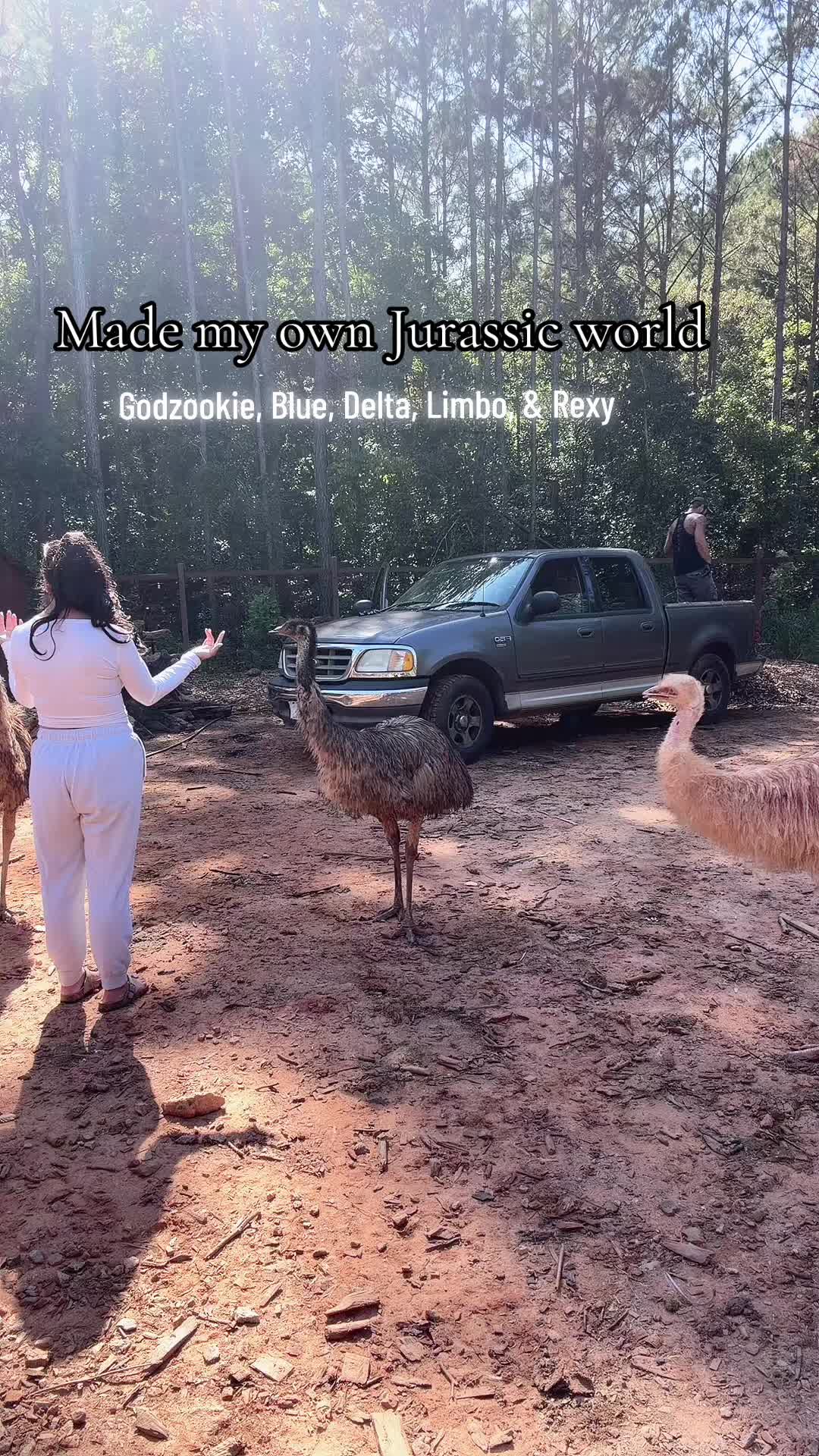 @Sophisticated Hillbilly