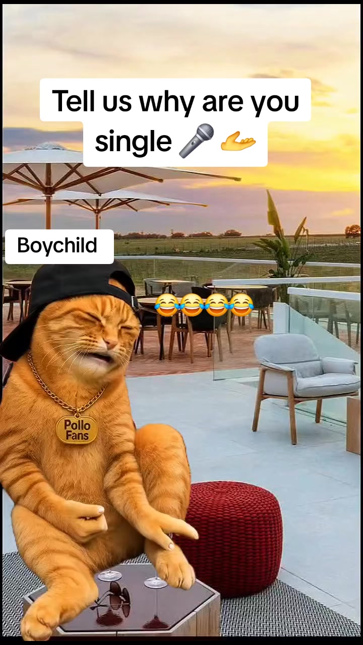 @Miss Vibez ๐ค๐๐