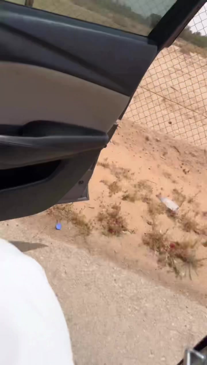 @محمد العاصمي