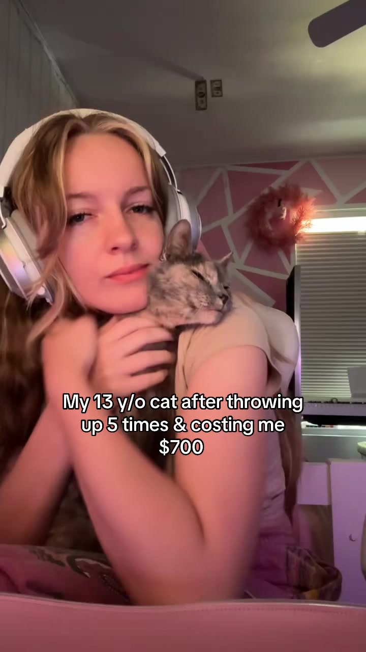 @anikira.xyz