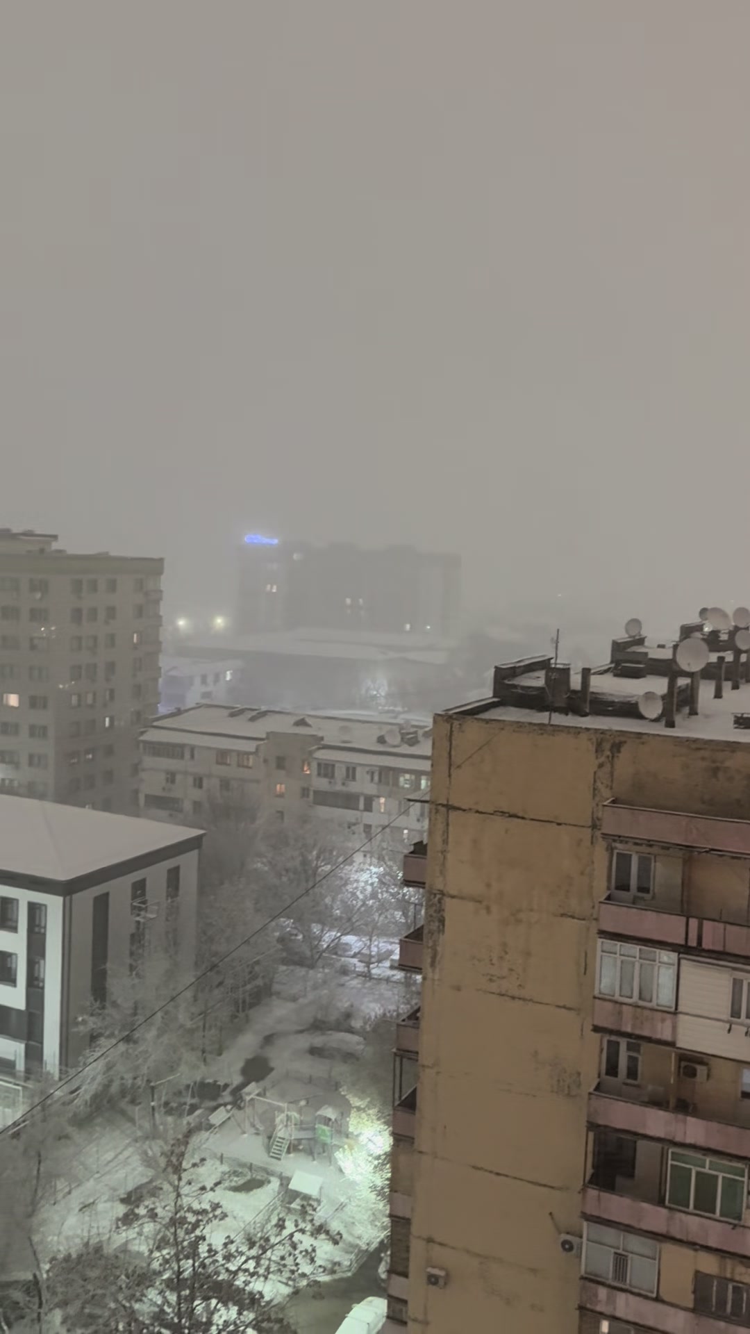 @Мисато (шучу нет)