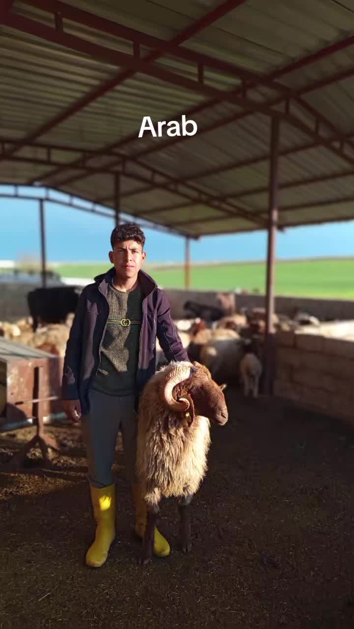 @515🔱El İNEMİ🔱515