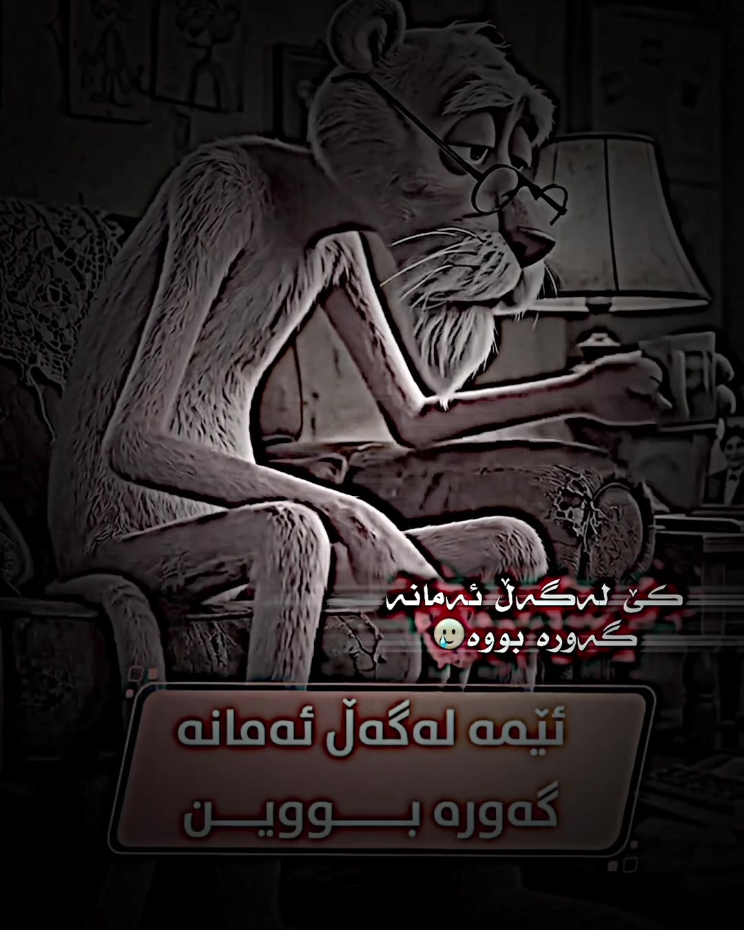 @7amay_tiktok5