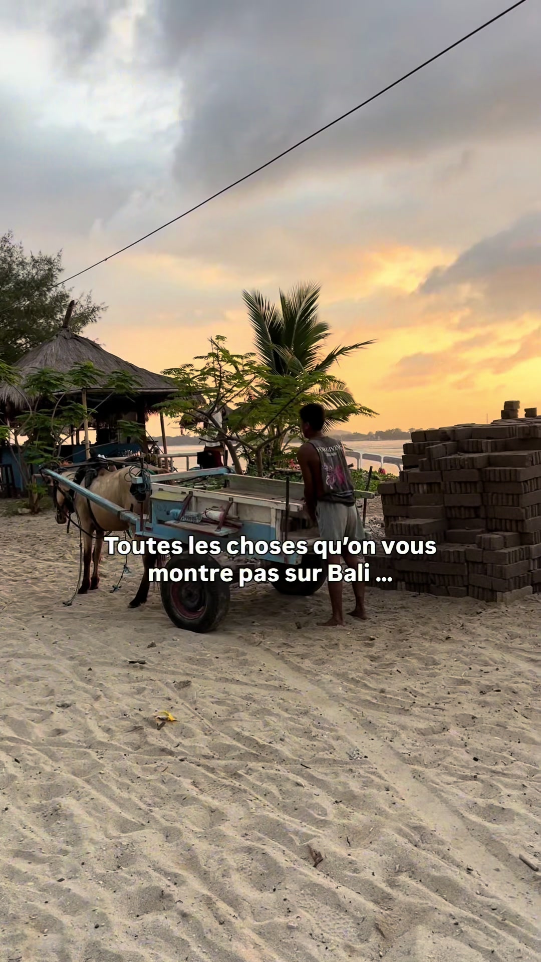 @Laura 🥥