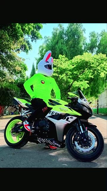 @BunnyRoad600