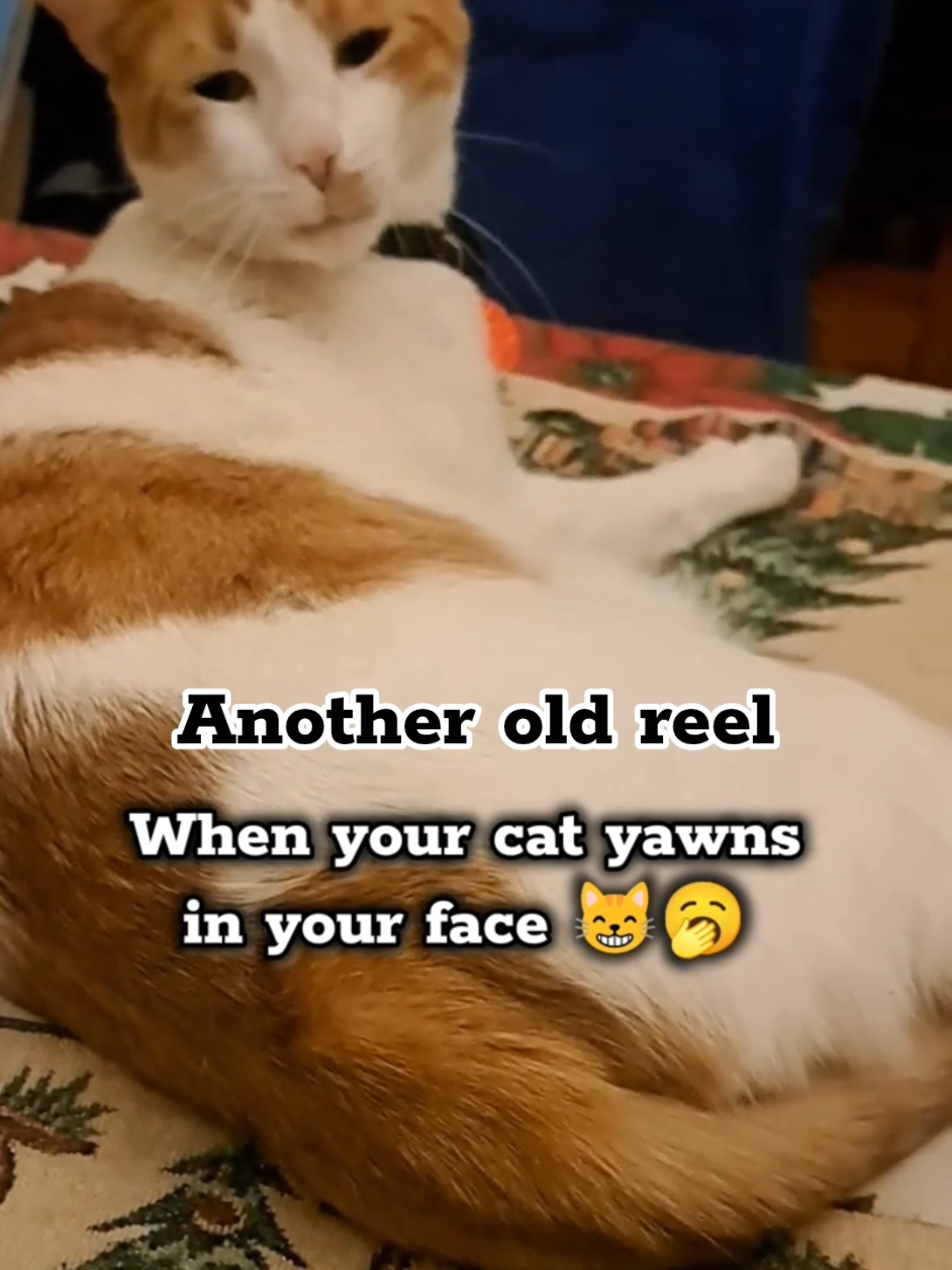 @Candice & Weasley