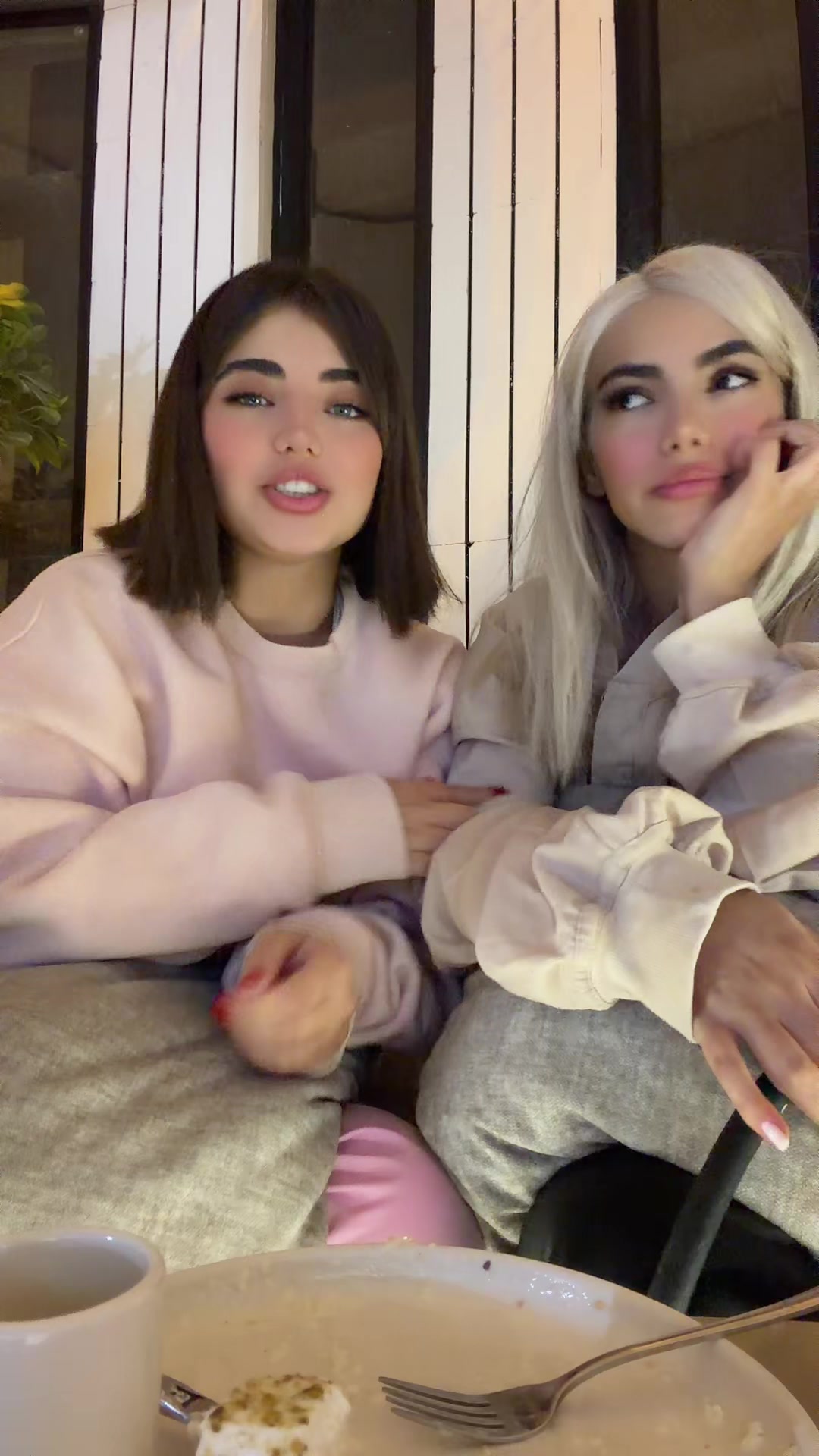 @manashakibi