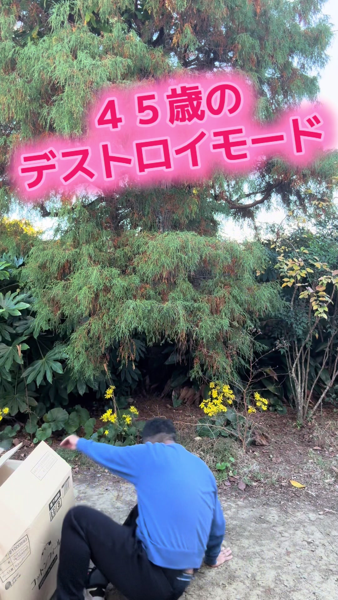 @ドロン