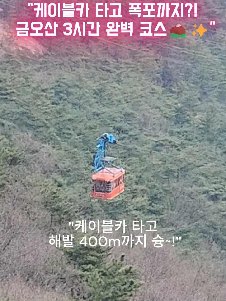@로즈