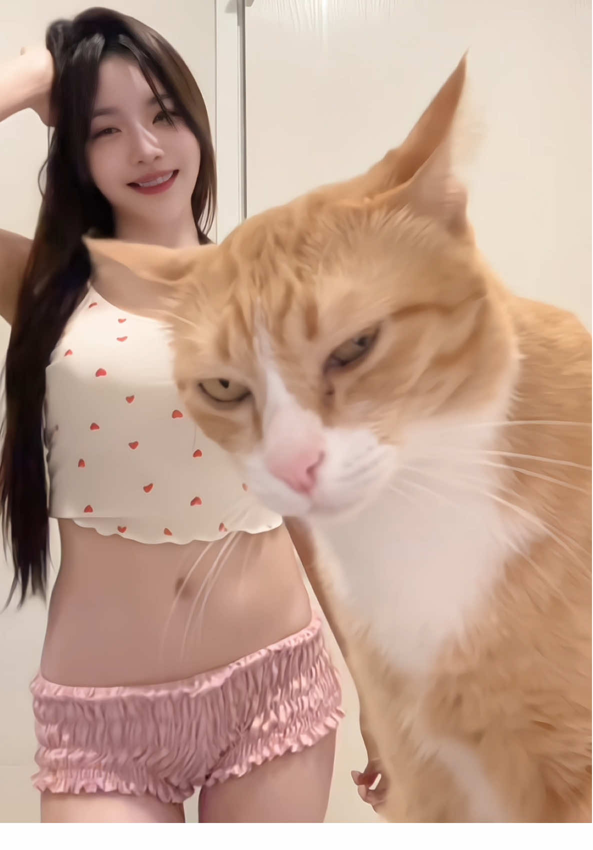 @จ๊ะจ๋าเหมียวเลี้ยงแมวชื่อมีมี่