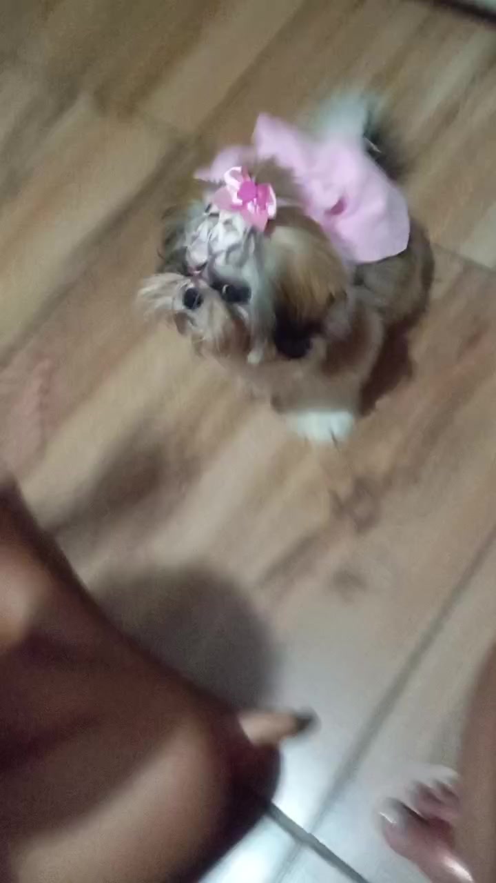 @Princesa