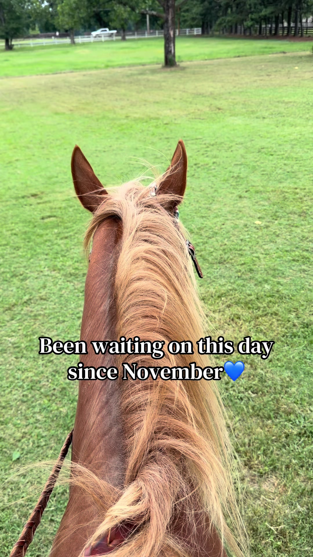 @brianna_a25