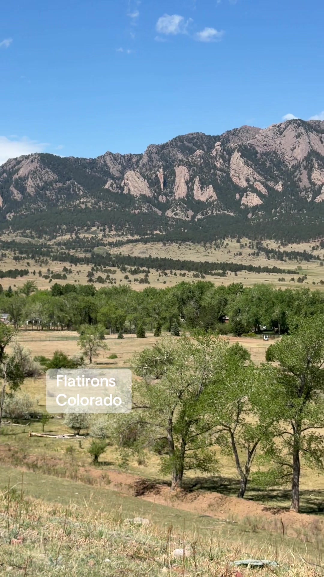 @Colorado Business Finder