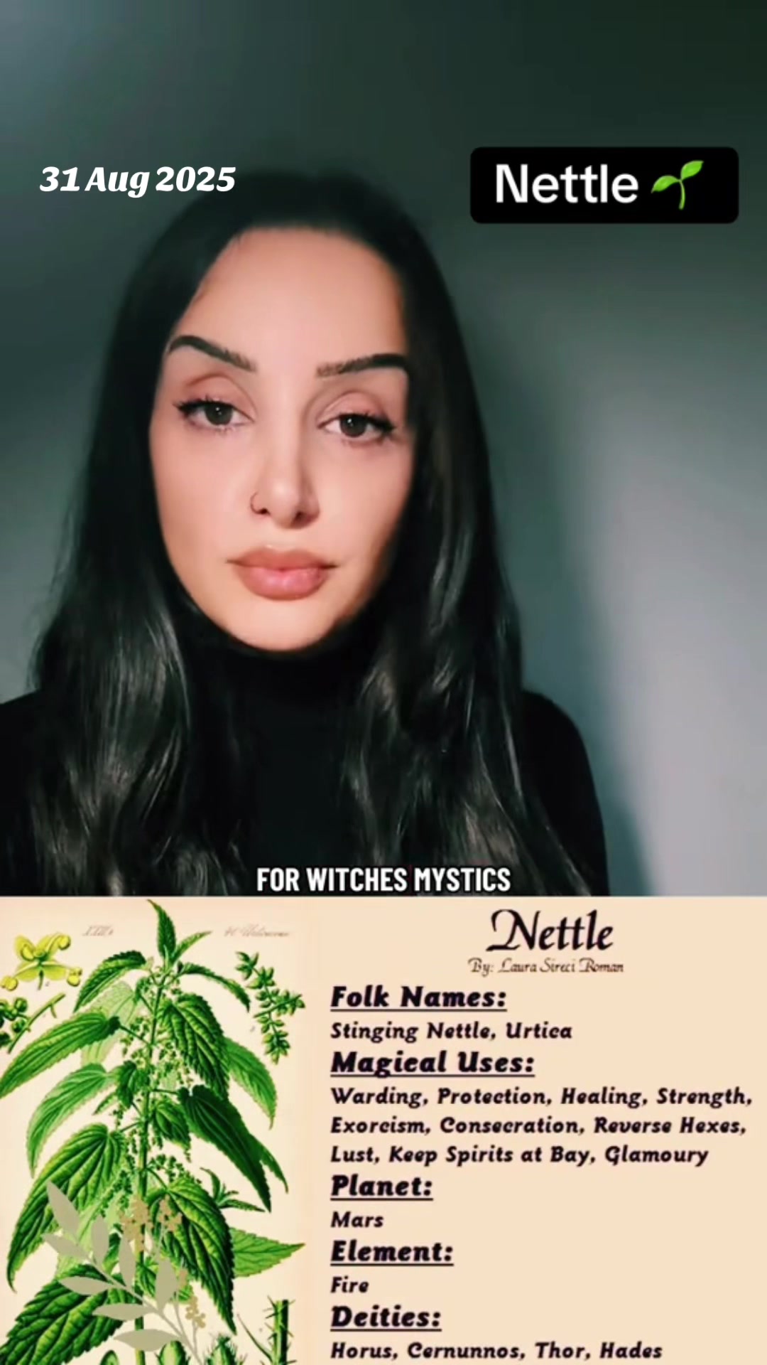 @•azazzelle•