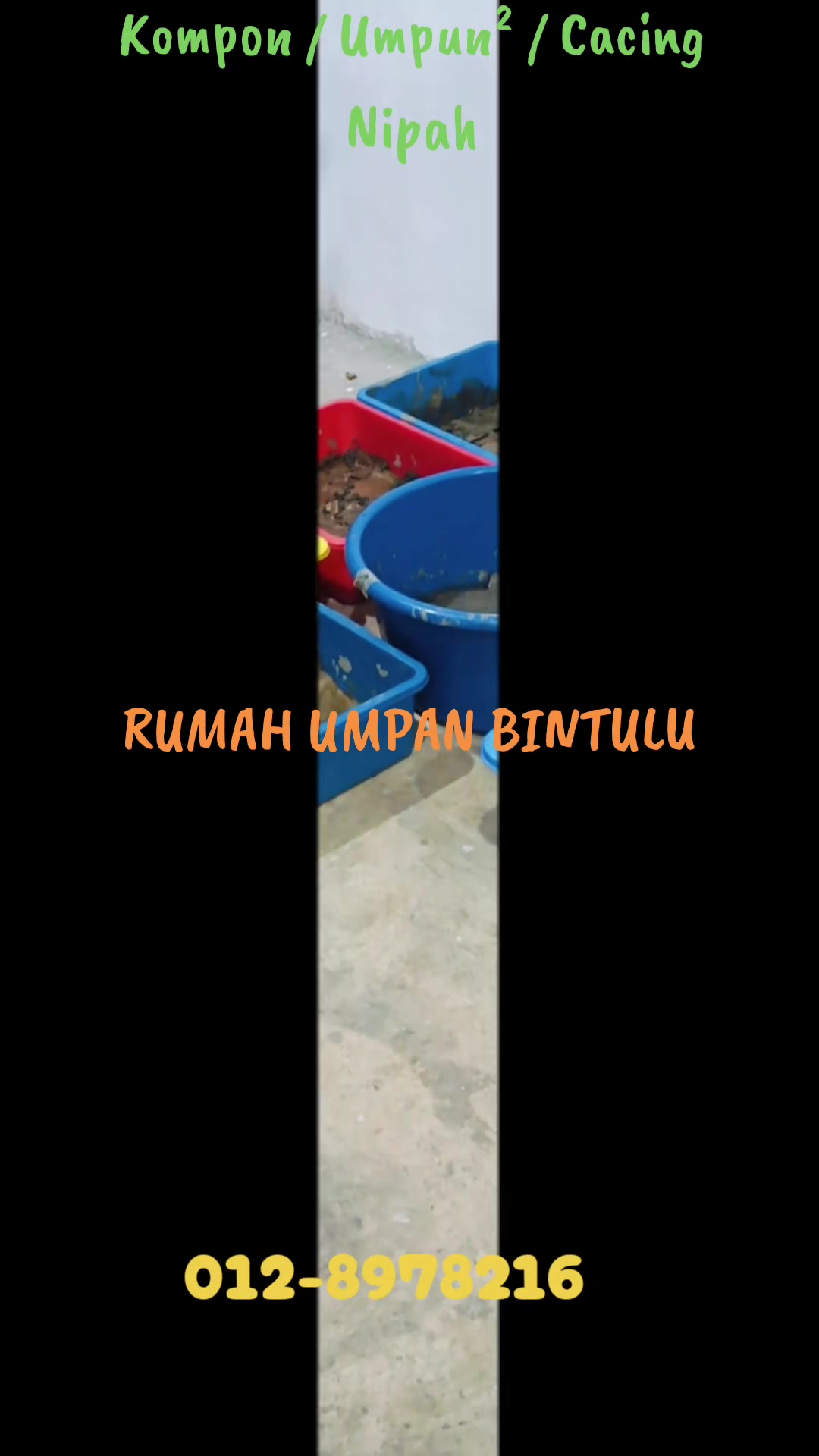 @Rumah Umpan Trading