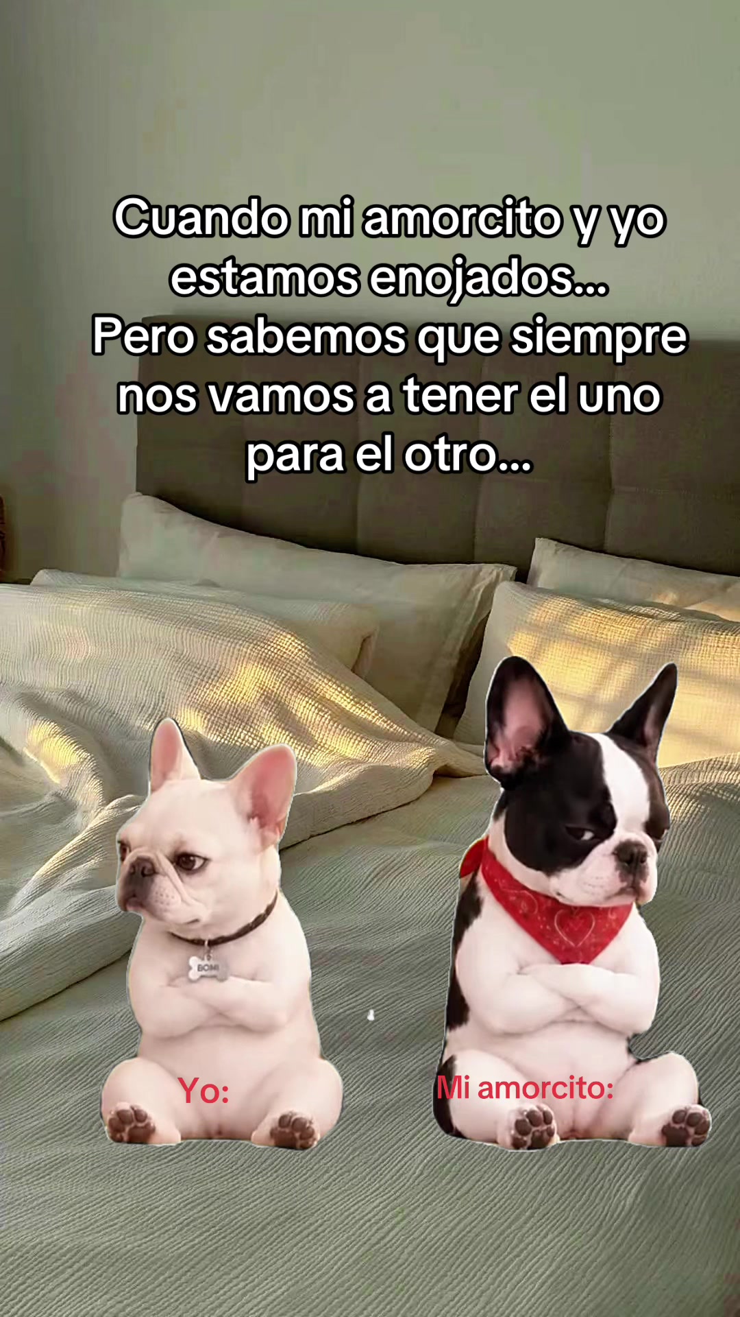 @El Woody 🤠