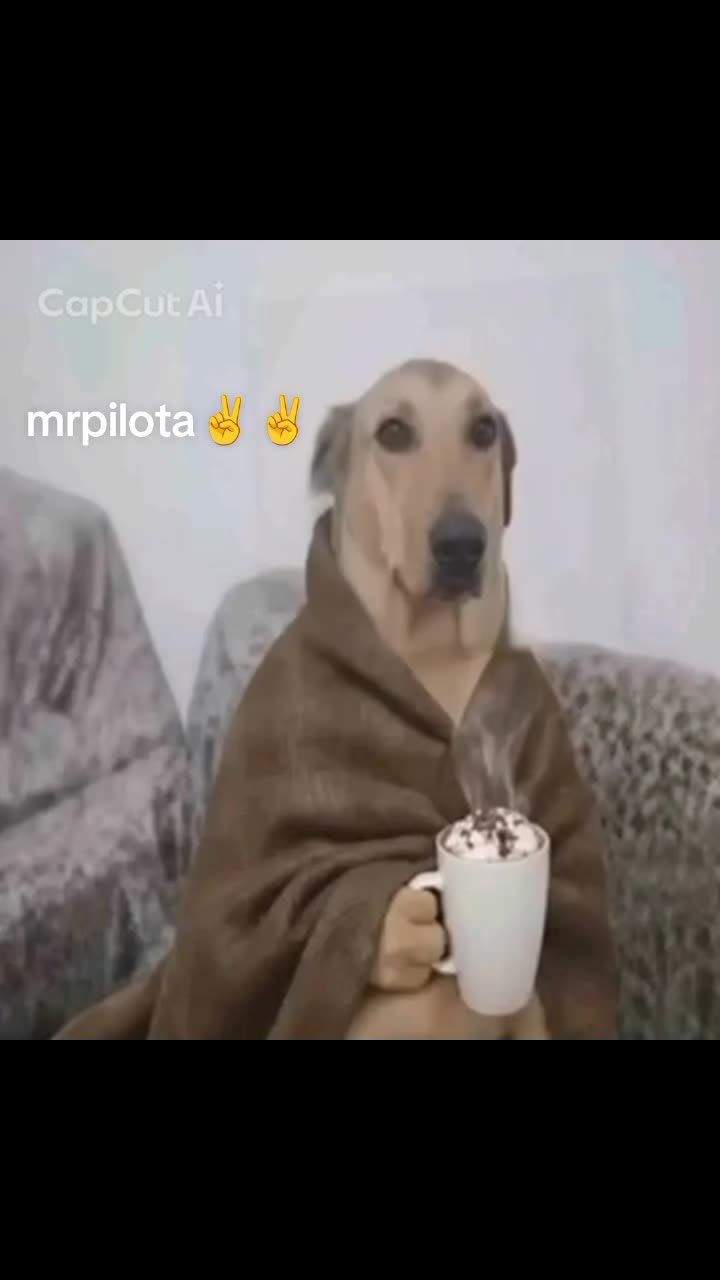 @Berlusconiii🇮🇹👑
