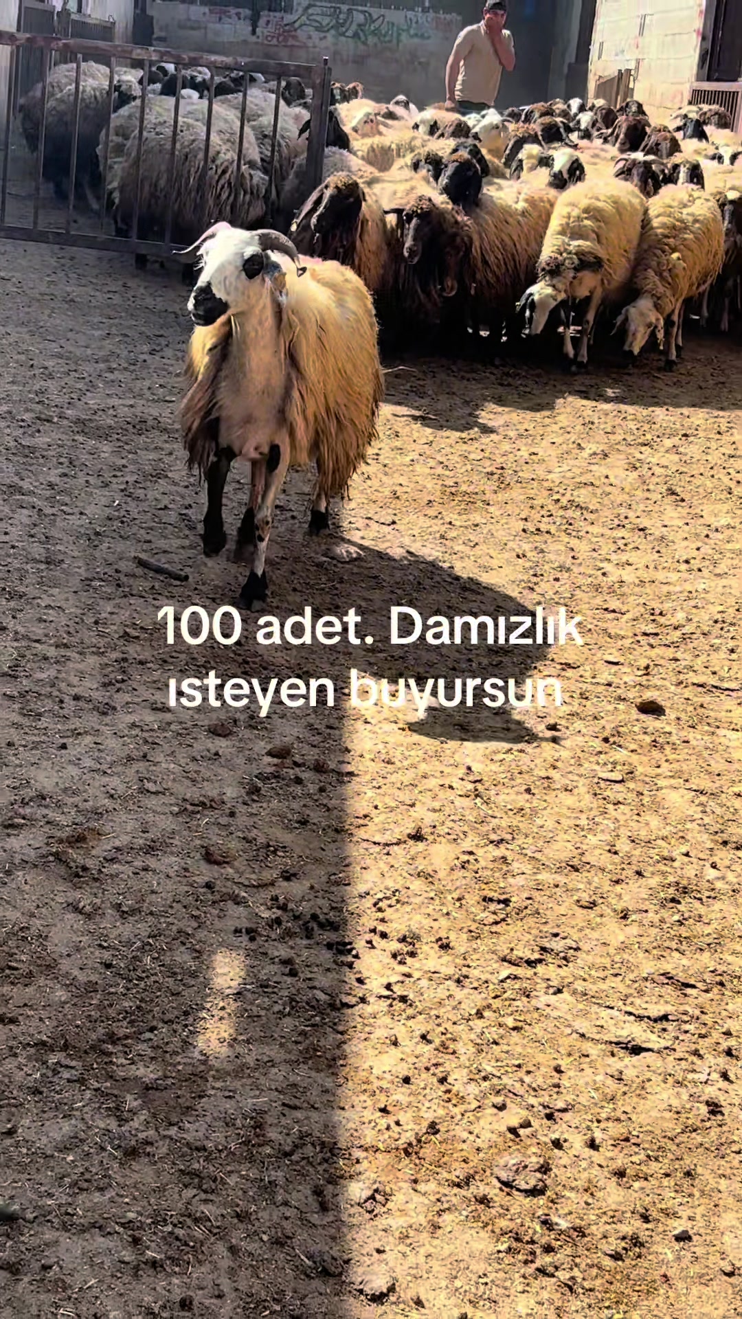 @Ahmet S&ouml;nmez