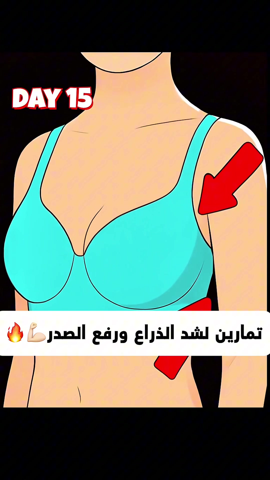 @دايت ماجد