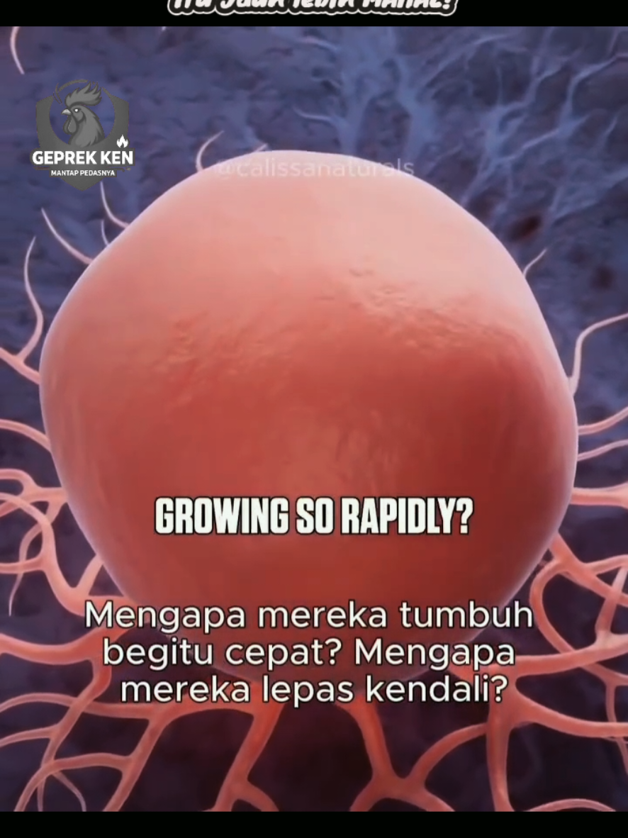 @GEPREK KEN