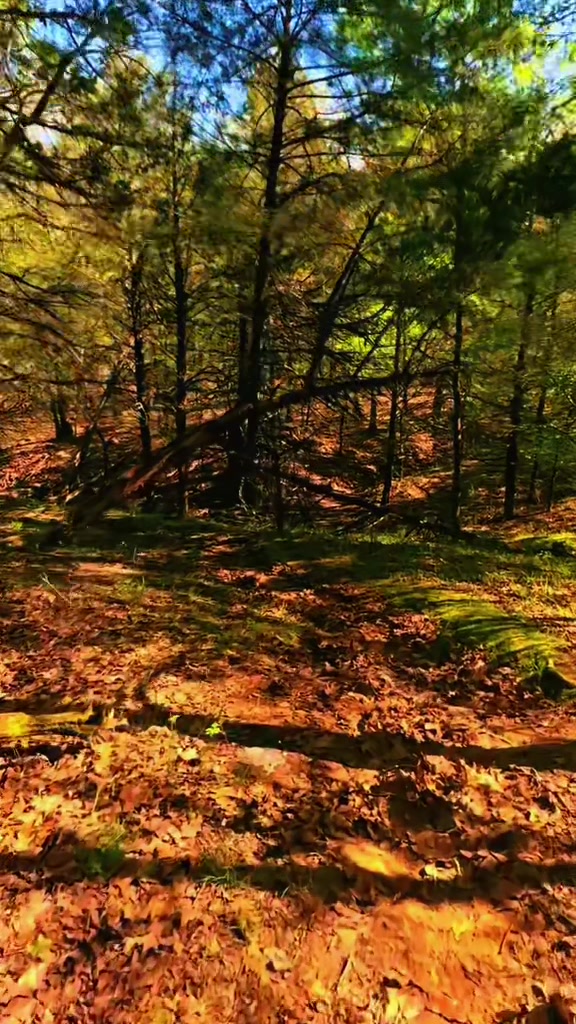 @Davin: Hiking + Outdoors