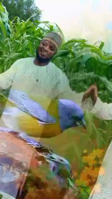 @SARKI