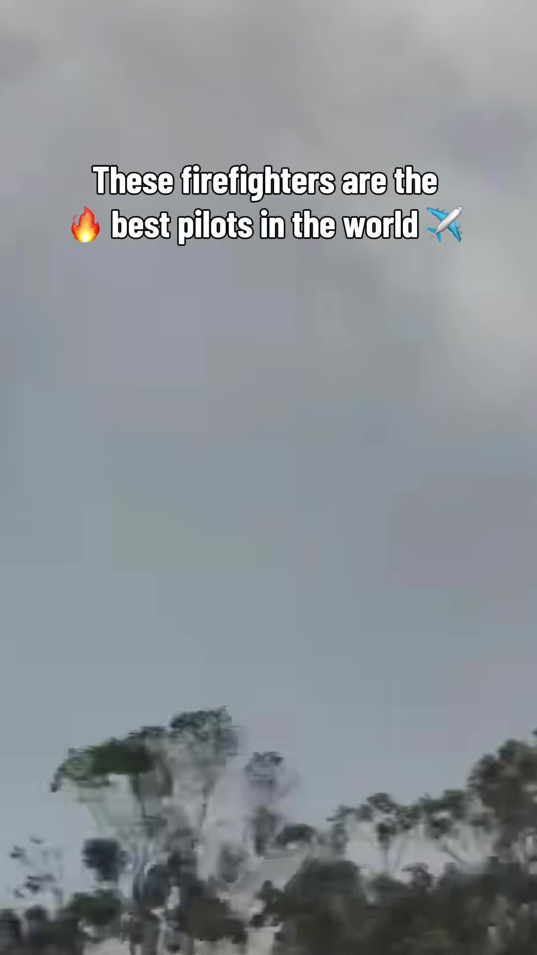 @We Love Jets