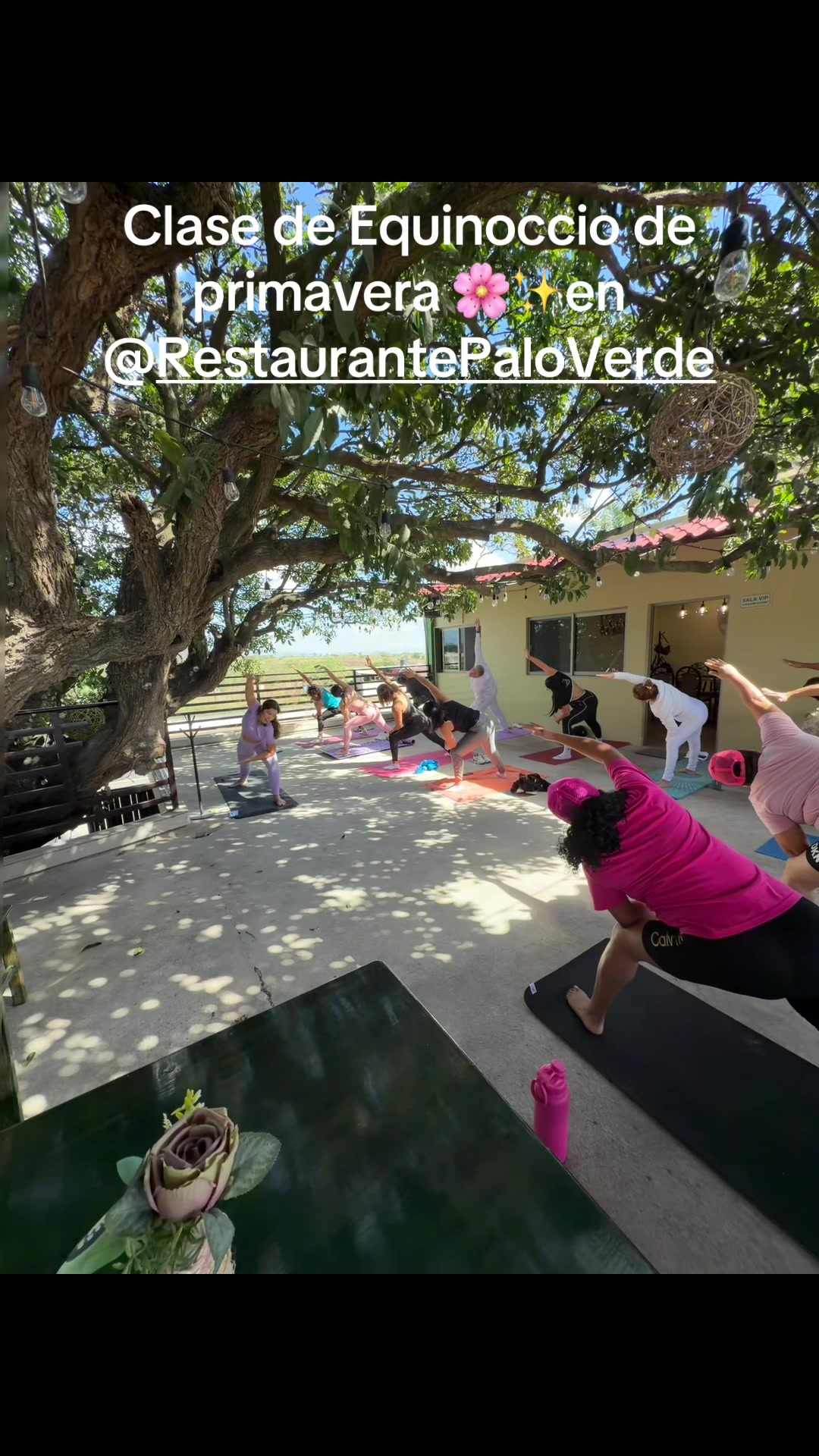 @Jandy Yoga