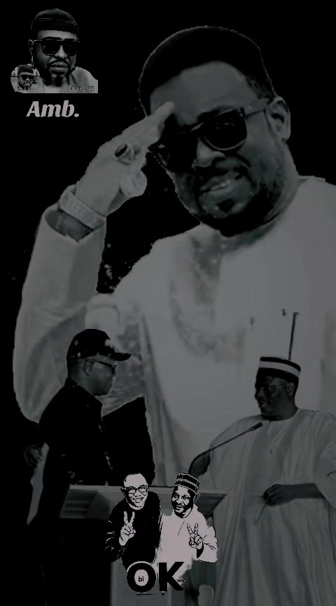 @Amb. Nura_Nitel