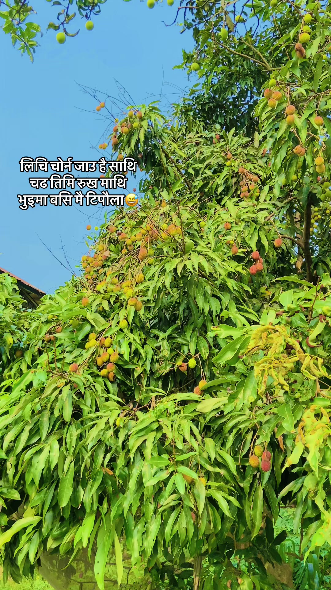 @𝐑 𝐎 𝐋 𝐄 𝐗