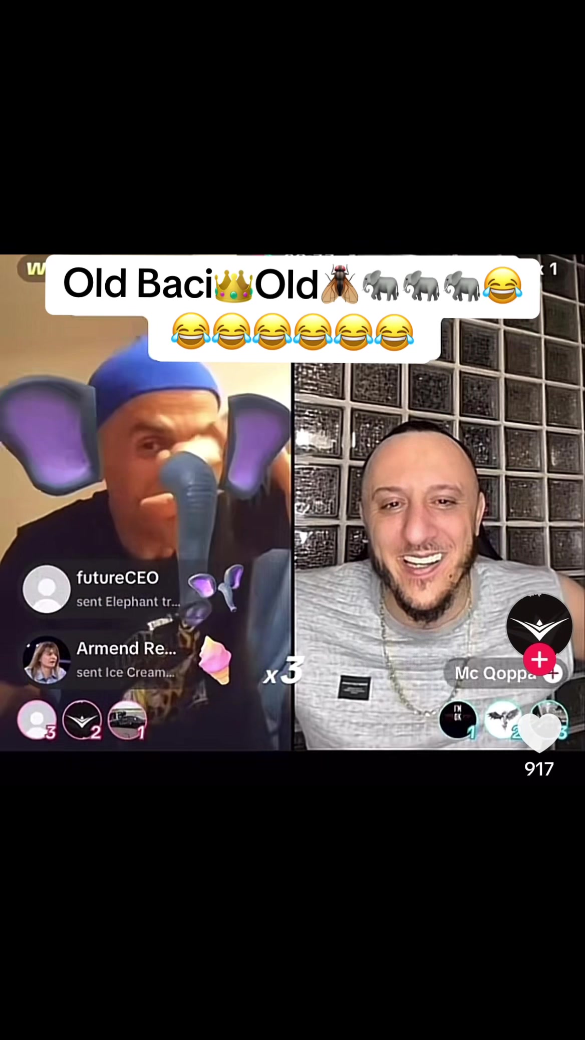 @🪰Mjeku i Mizave🪰