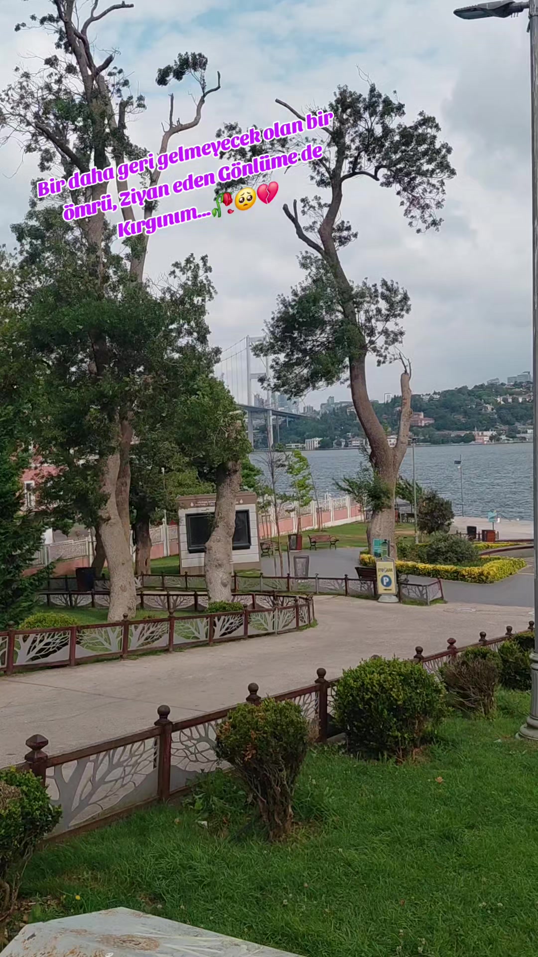 @LAZKizi❤️61💙53💚💙⚜️⚜️