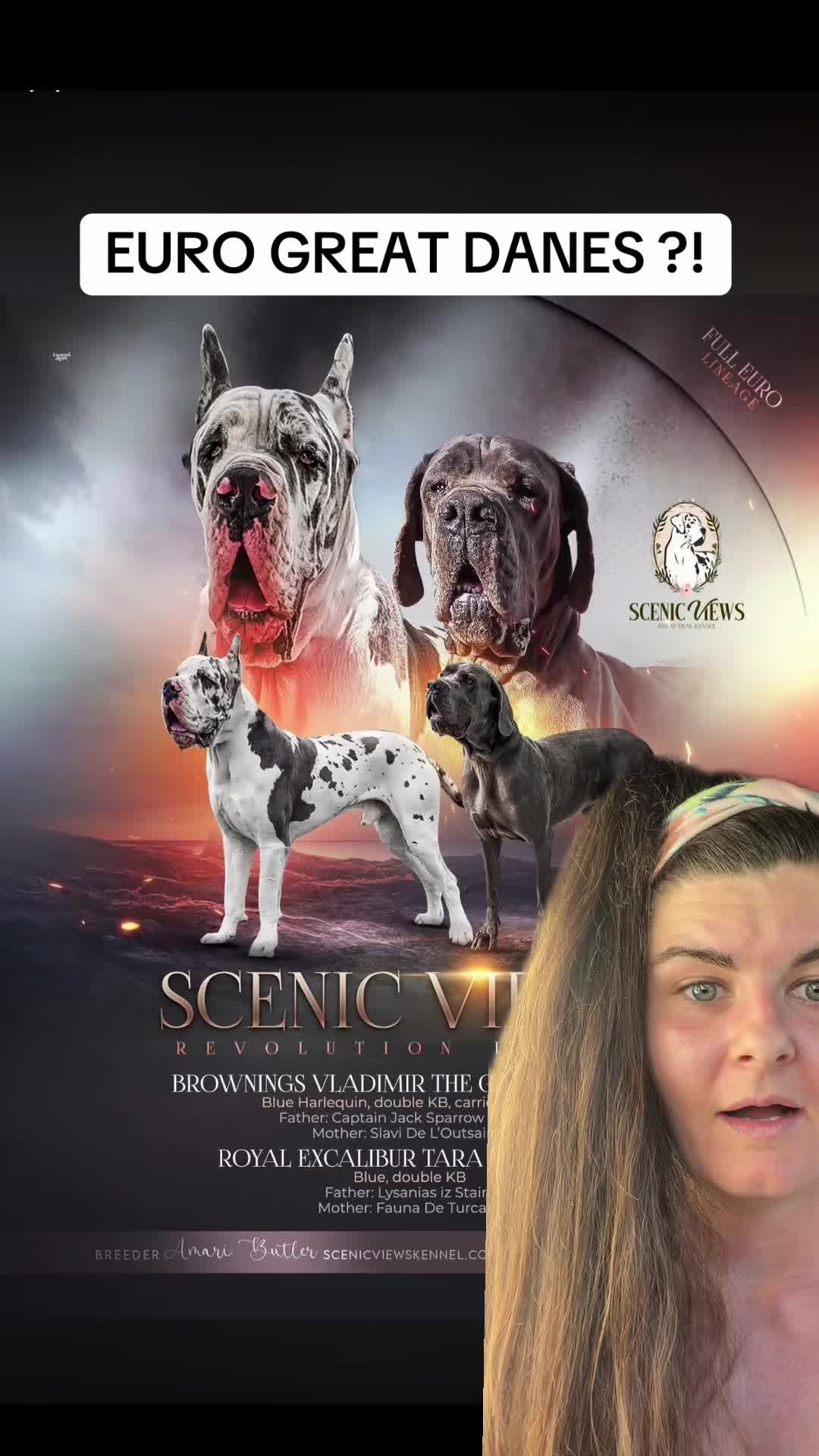@Jess Shark🐾DOG PACK🐾