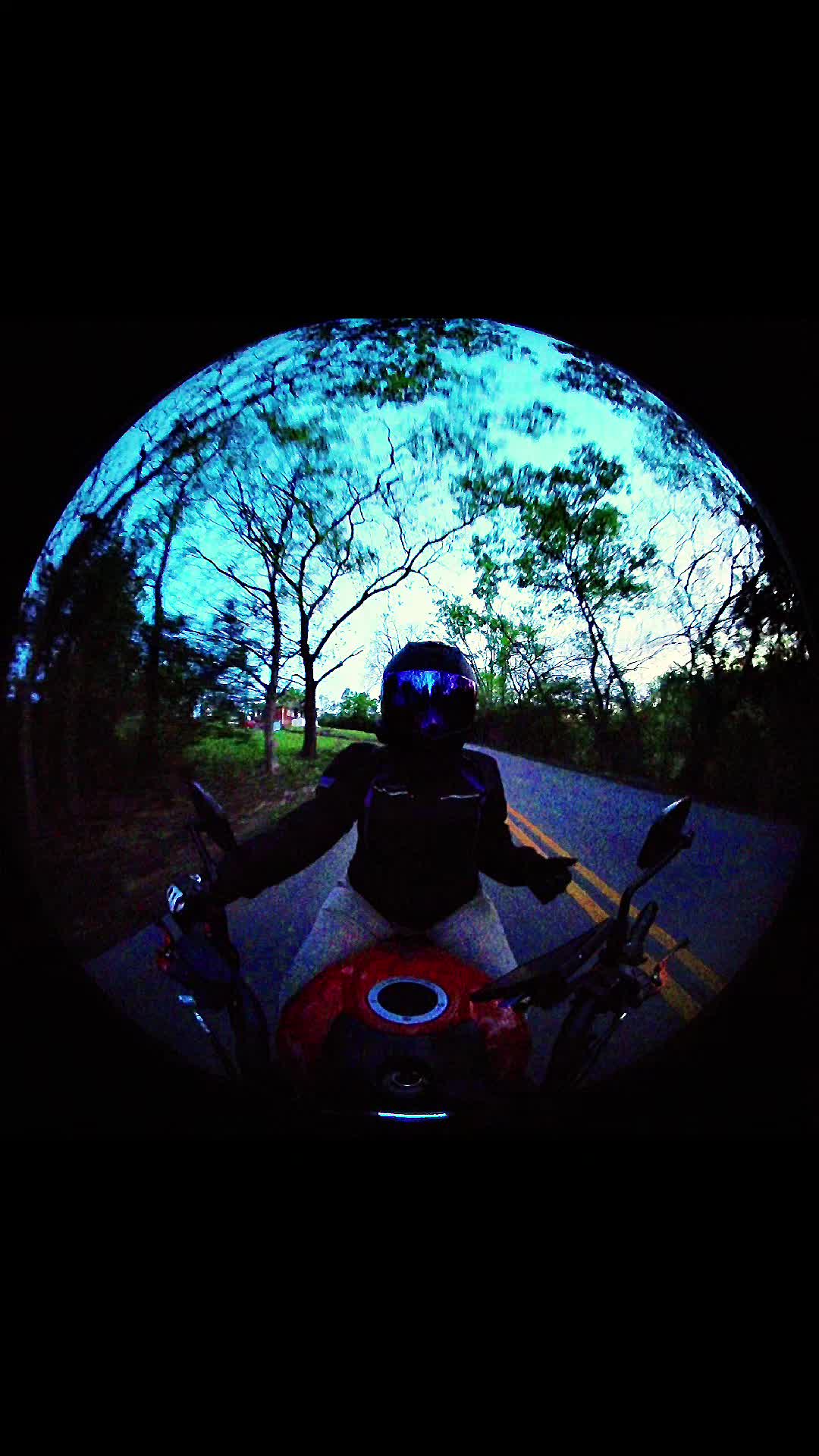 @SunchasingSteel