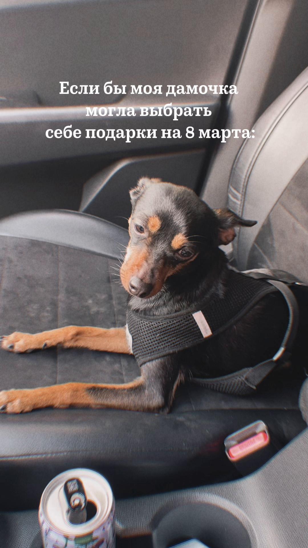 @Евгения