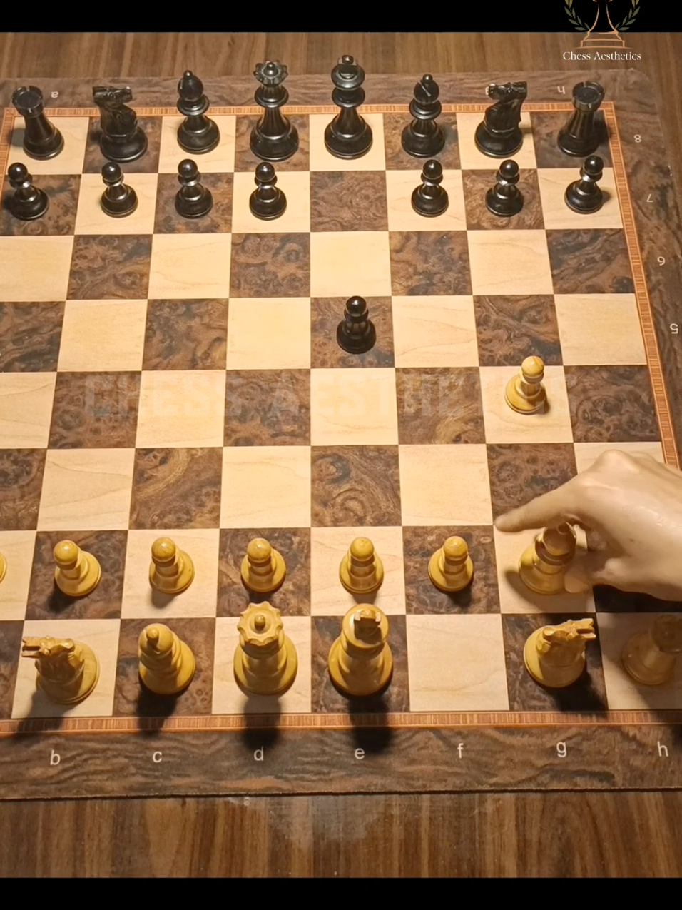 @Chess Aesthetics