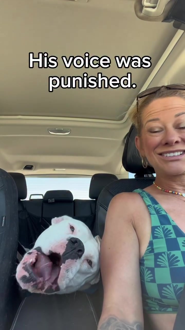 @Ultimate Puppies