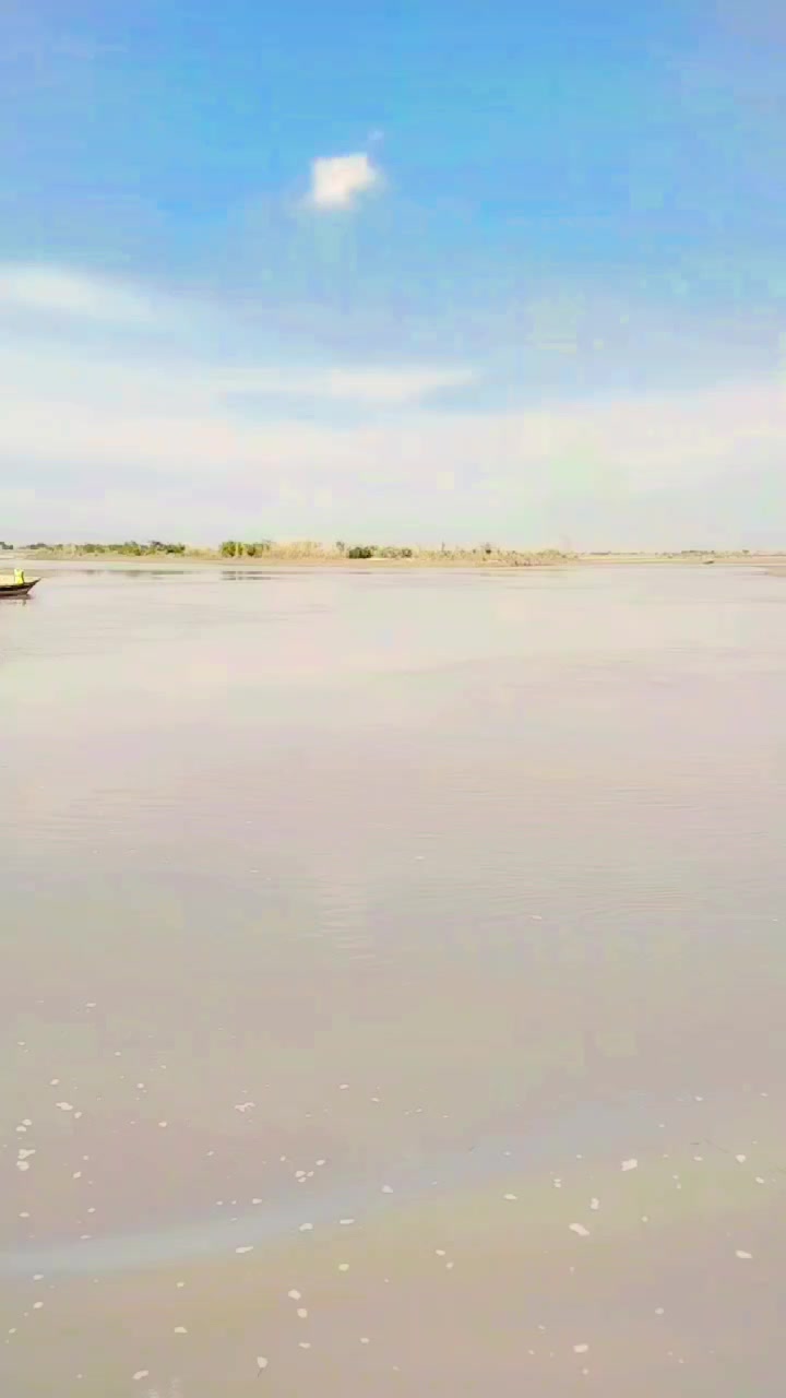 @سیدعامرشیرازی913