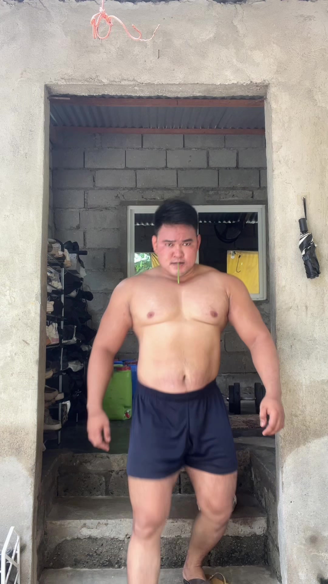 @bulkzilla01