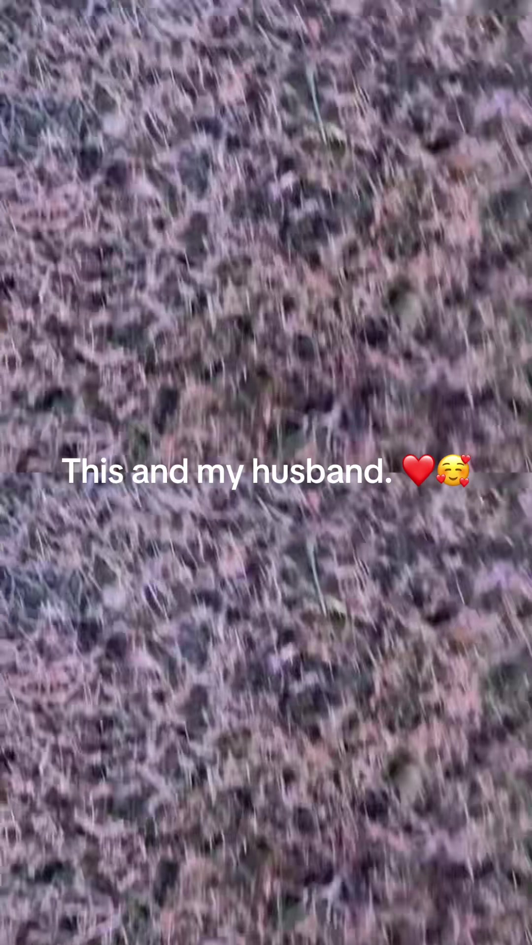 @KatlinBrittin