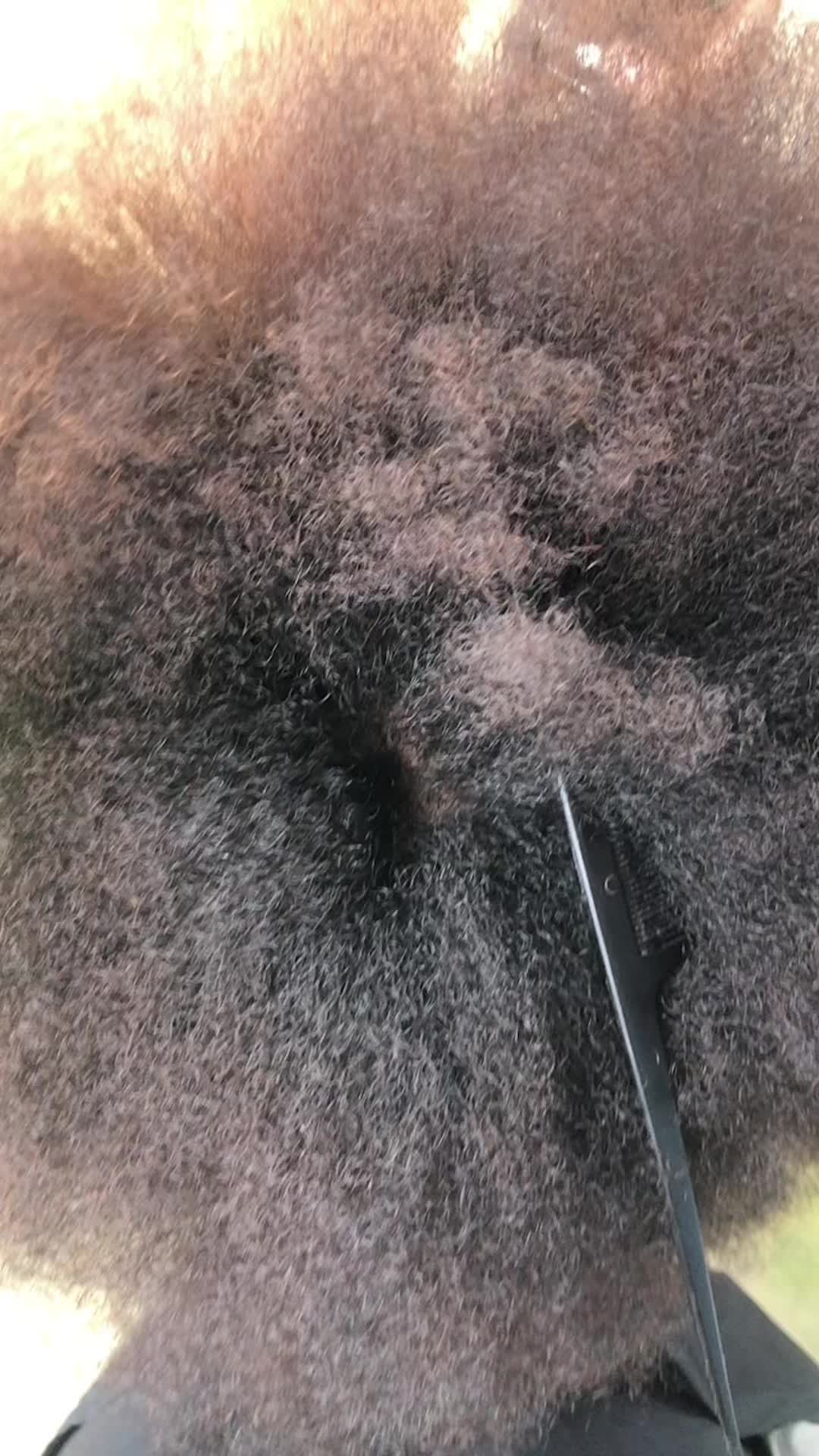 @Creativestylesby._tt💇🏽&zwj;♀️💕