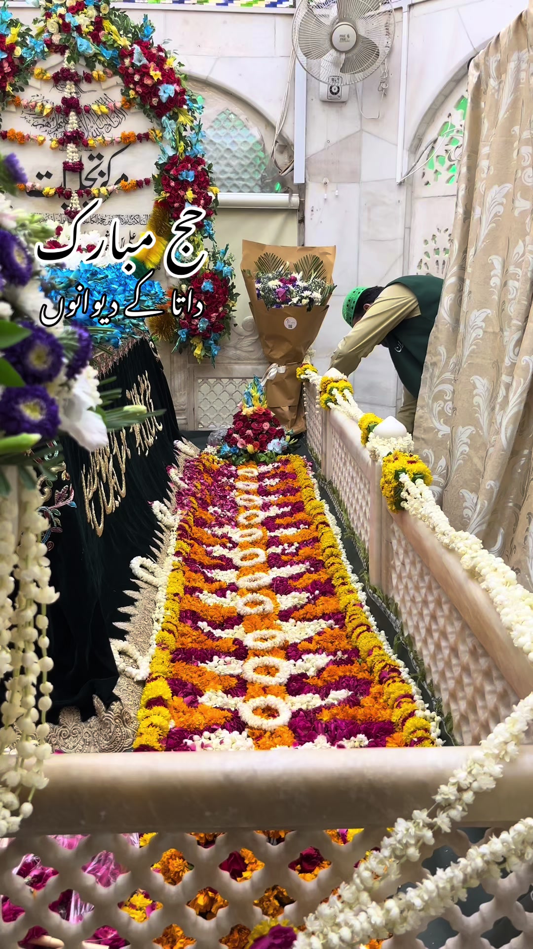 @مانی Net والا