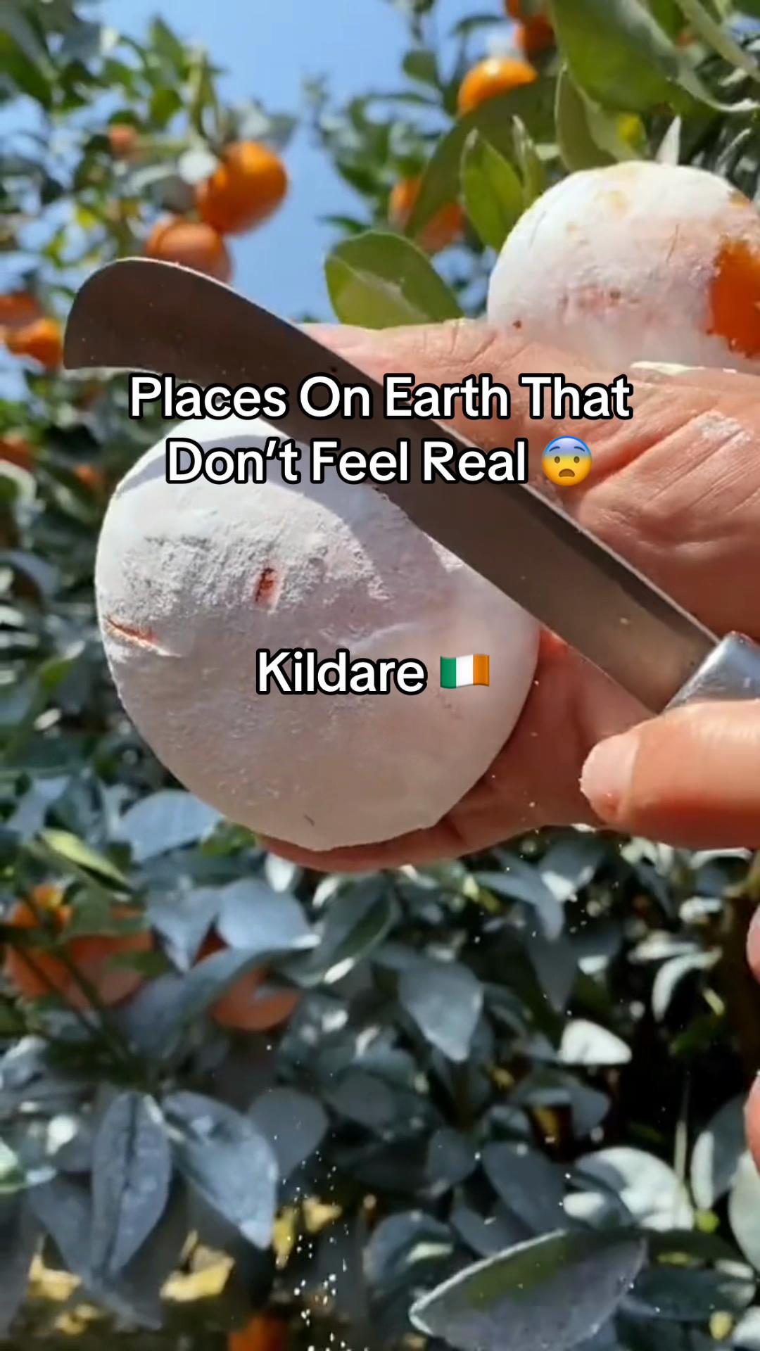 @Sean Garry